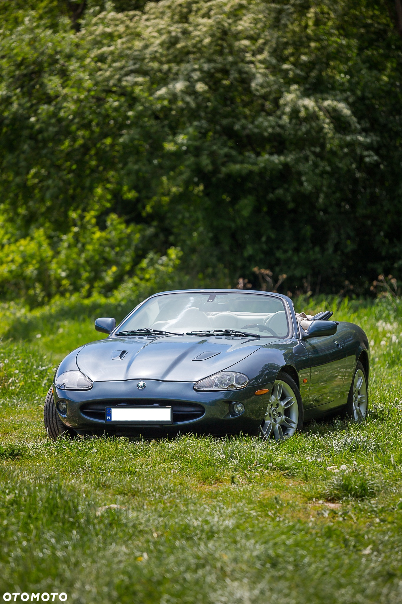 Jaguar XK8 4.0 - 9