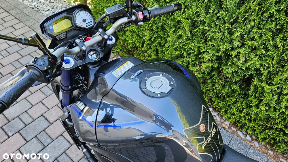 Yamaha FZ8 - 37