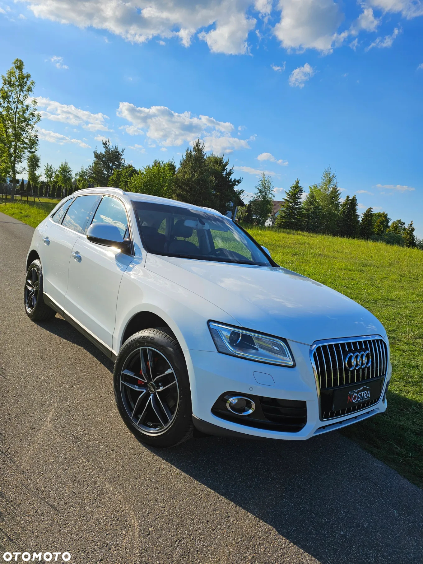 Audi Q5 2.0 TDI quattro (clean diesel) - 10