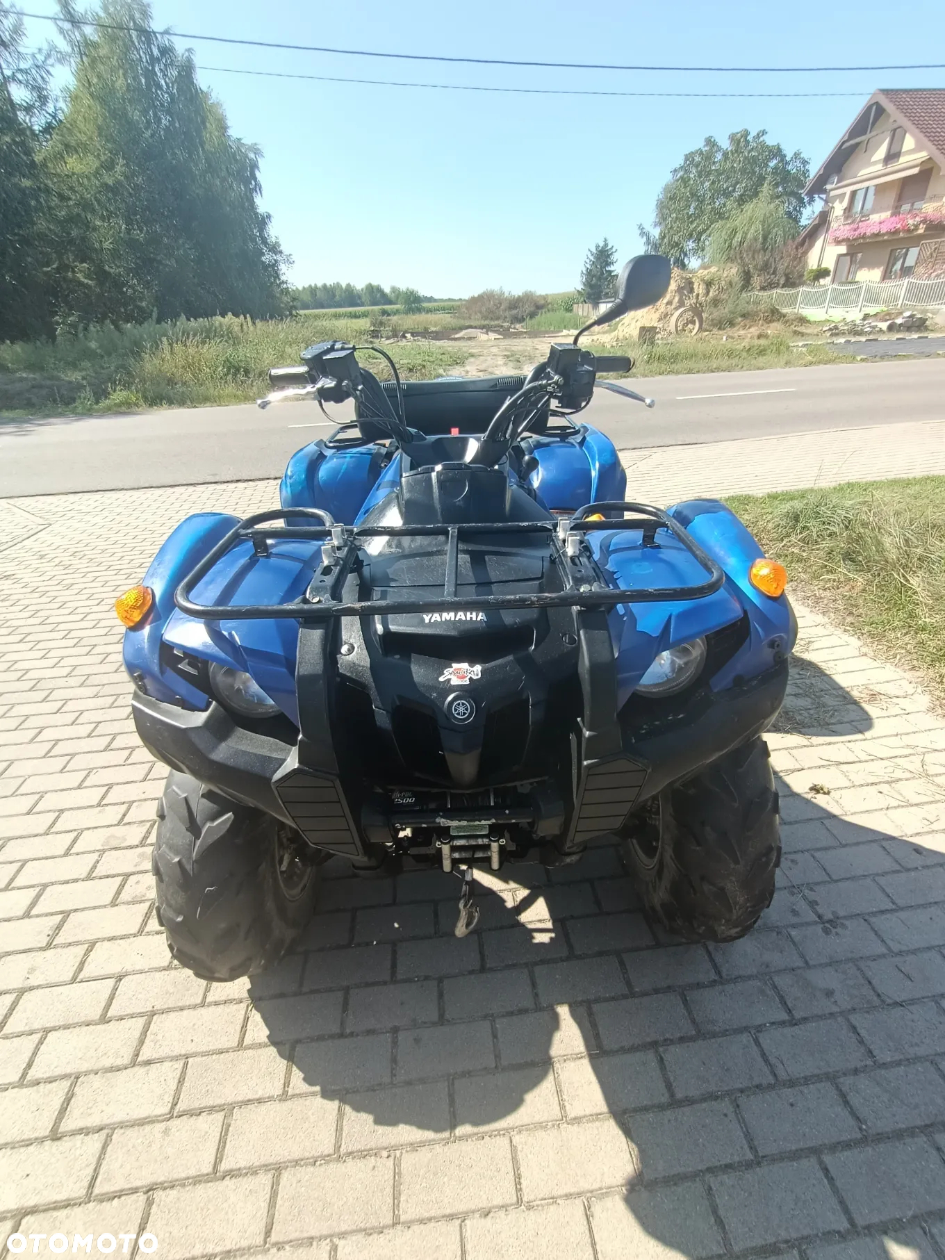 Yamaha Grizzly - 7