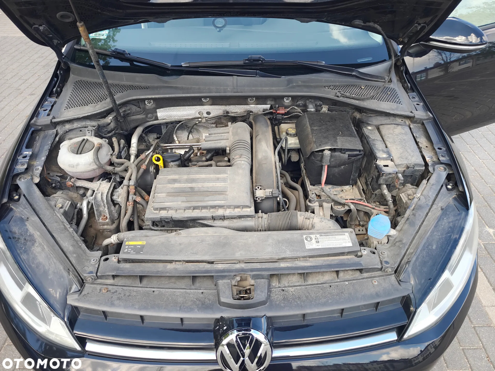 Volkswagen Golf - 39