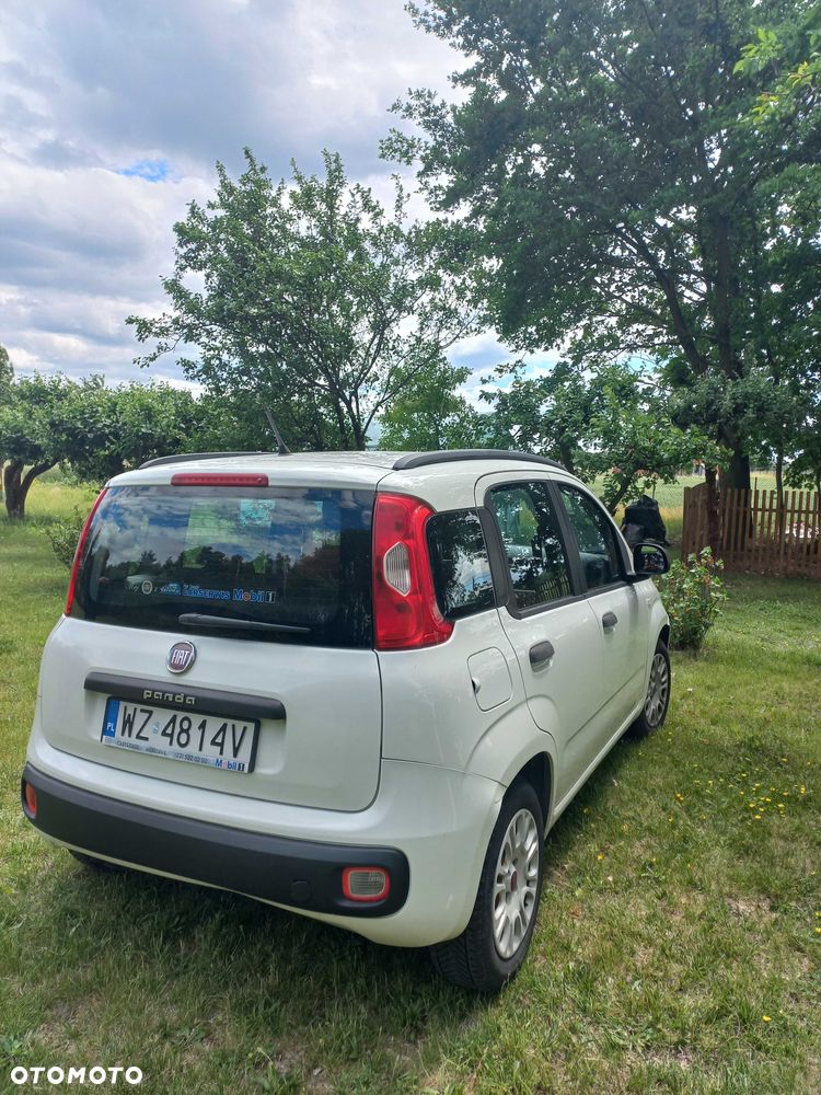 Fiat Panda - 2