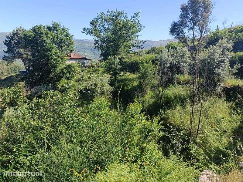 Vende-se terreno rústico em Ancede, com vista rio Douro - Grande imagem: 2/5
