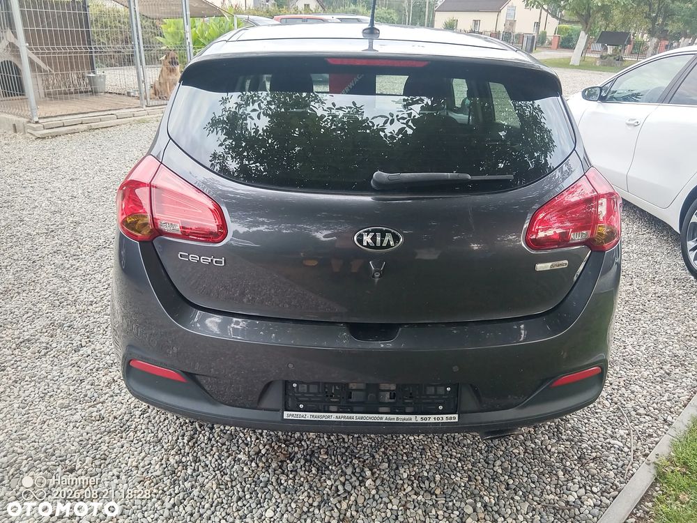 Kia Ceed 1.6 CRDi 128 Spirit - 12