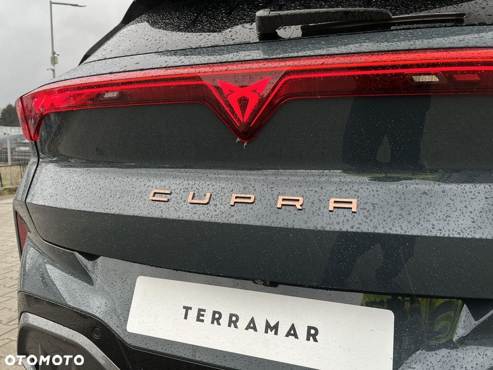 Cupra Terramar - 15