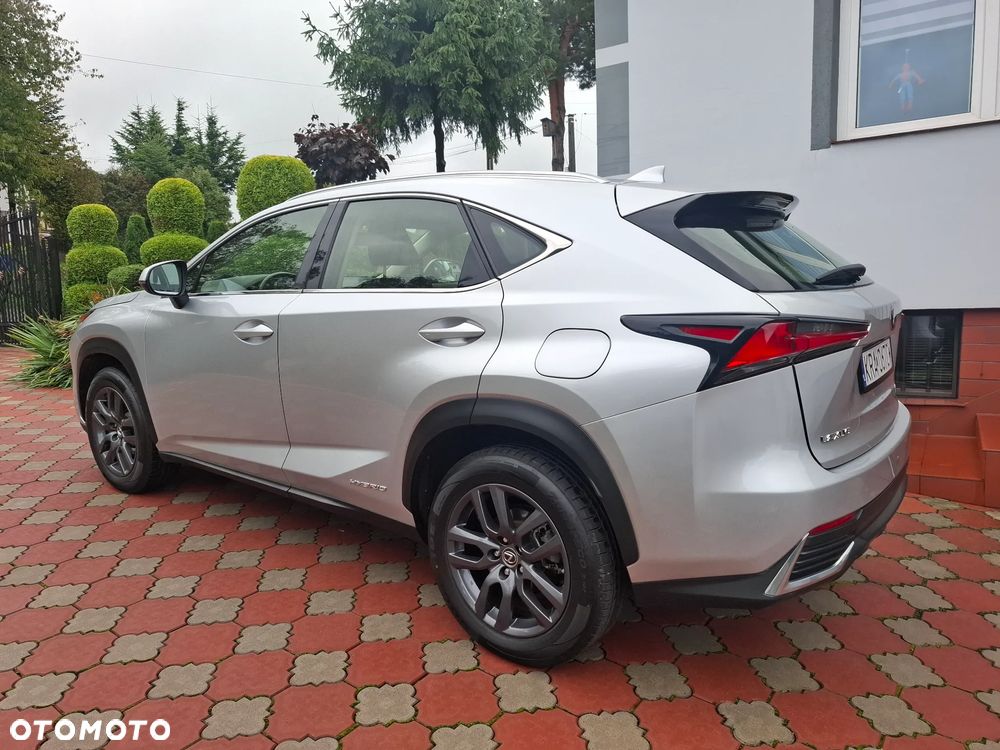 Lexus NX - 7