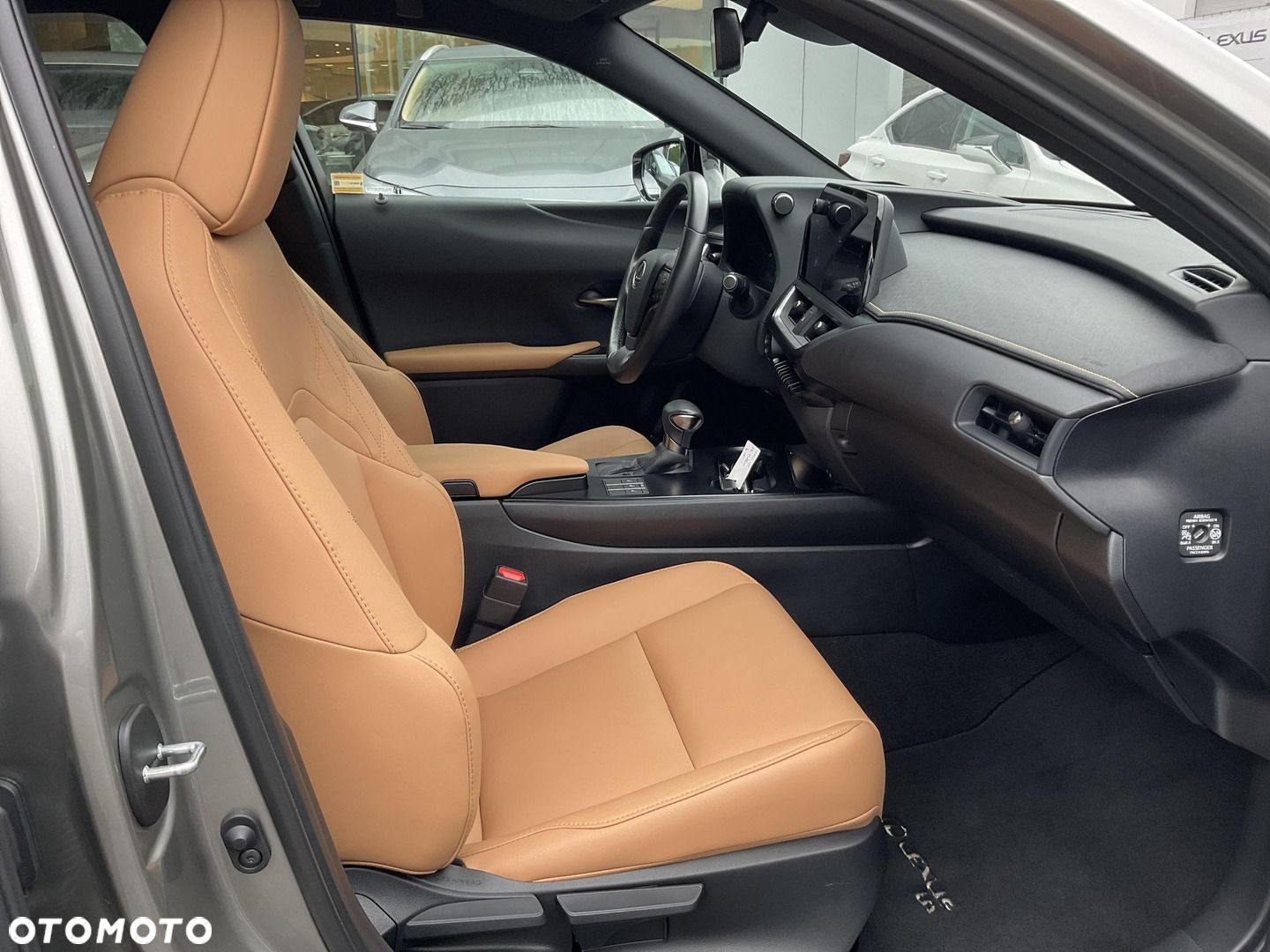 Lexus UX 250h GPF F Sport Design 2WD - 17