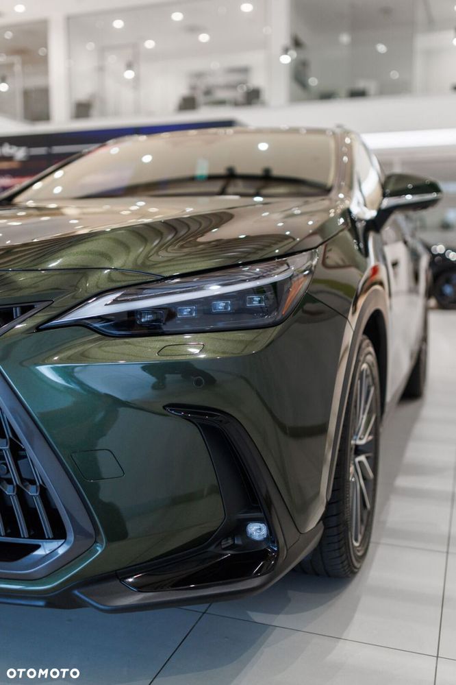 Lexus NX 350h Omotenashi AWD - 12