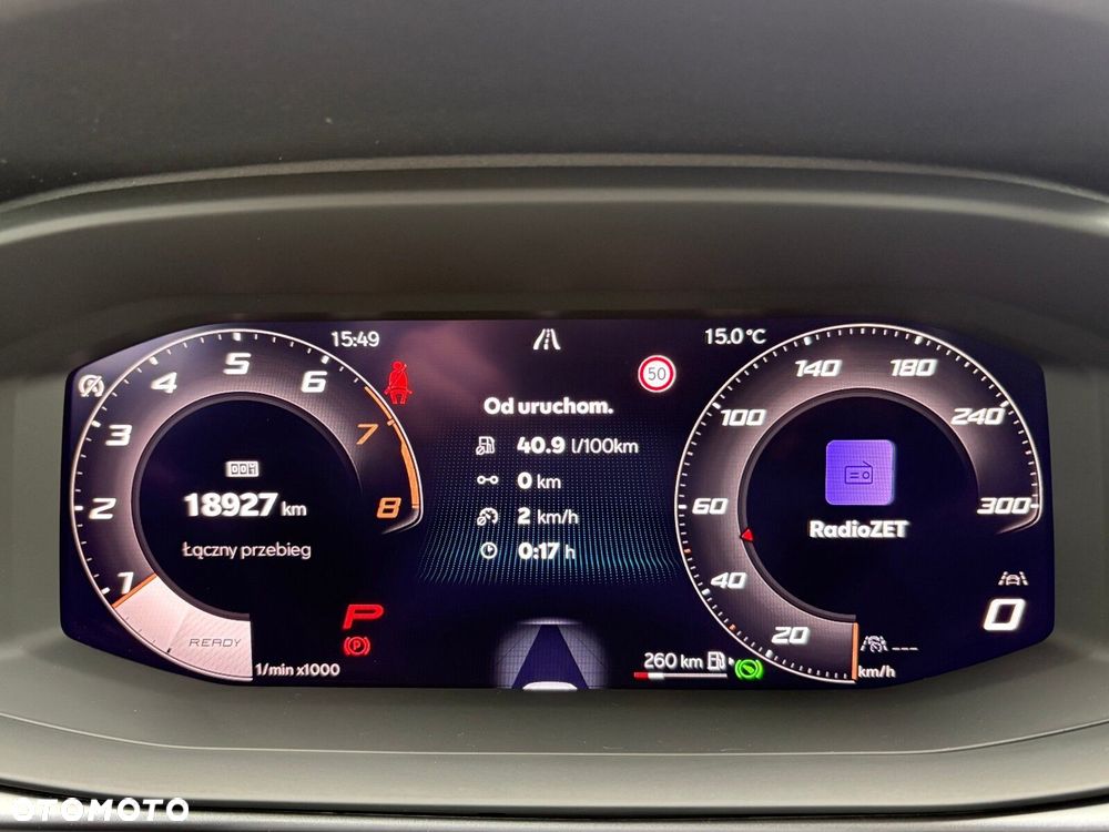 Cupra Terramar 2.0 TSI 4Drive DSG - 25