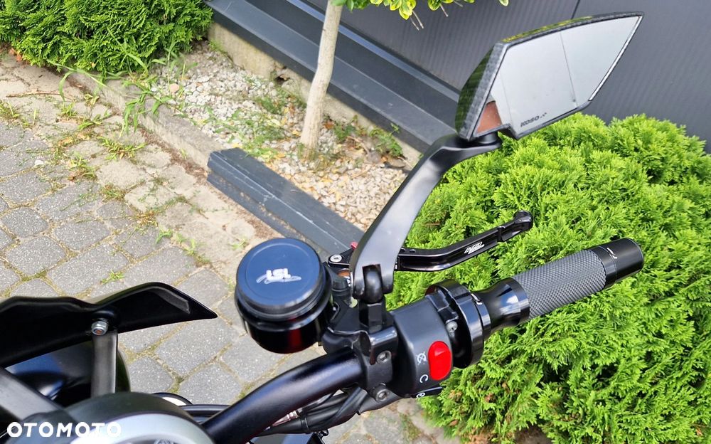 Triumph Speed Triple - 10