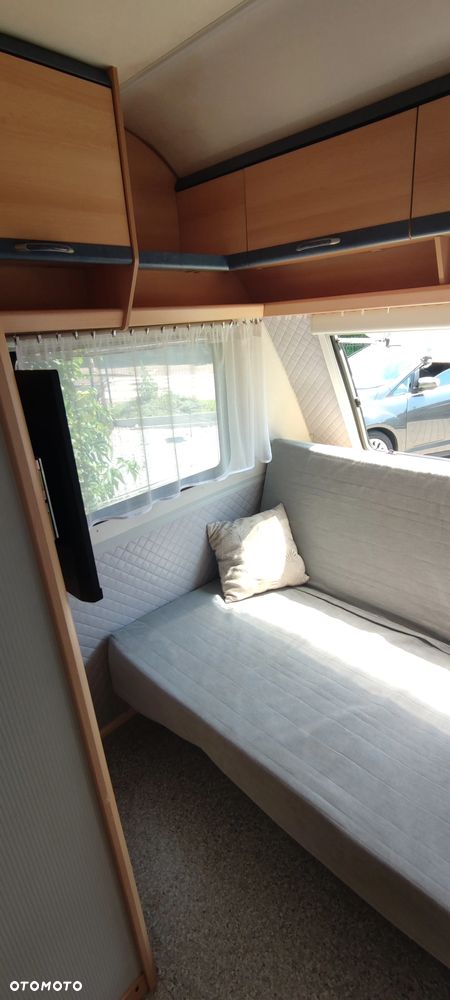 Wilk Sport - 20