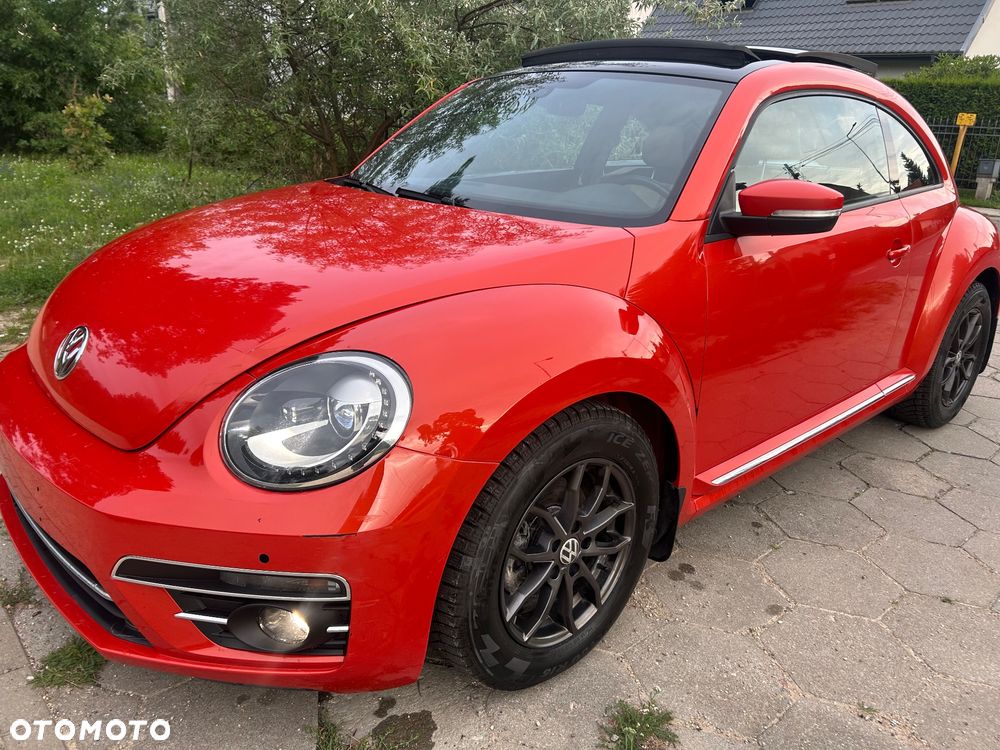 Volkswagen Beetle - 7