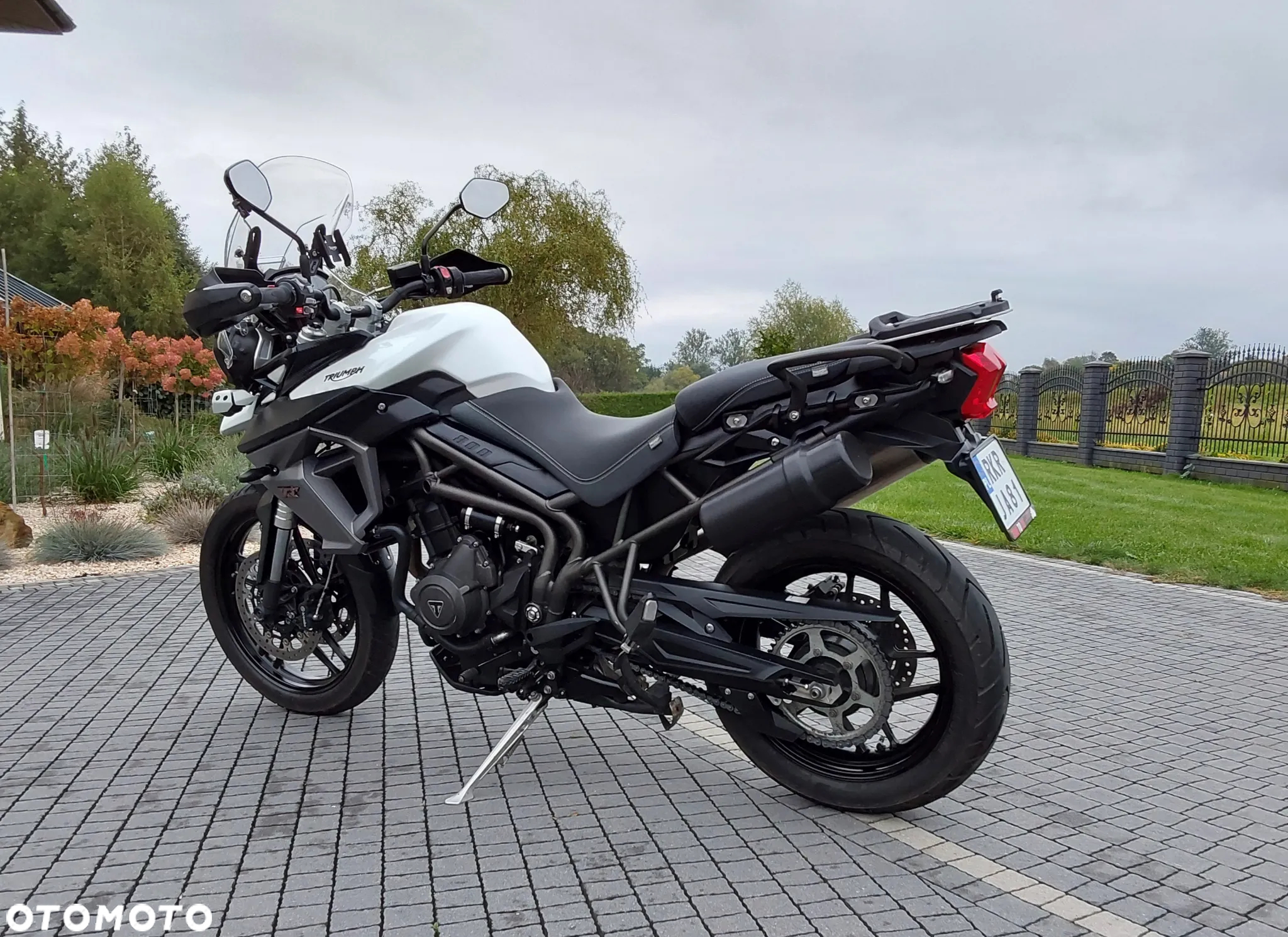 Triumph Tiger - 8