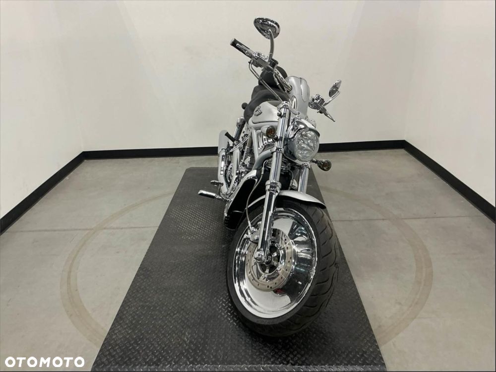 Harley-Davidson Softail V-Rod - 2