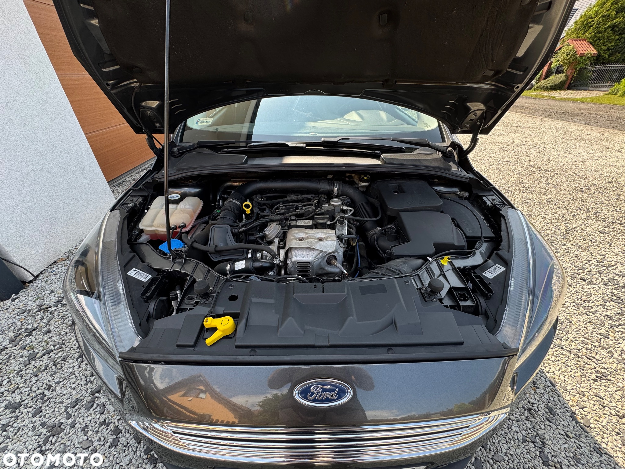 Ford Focus 1.0 EcoBoost Titanium ASS - 19