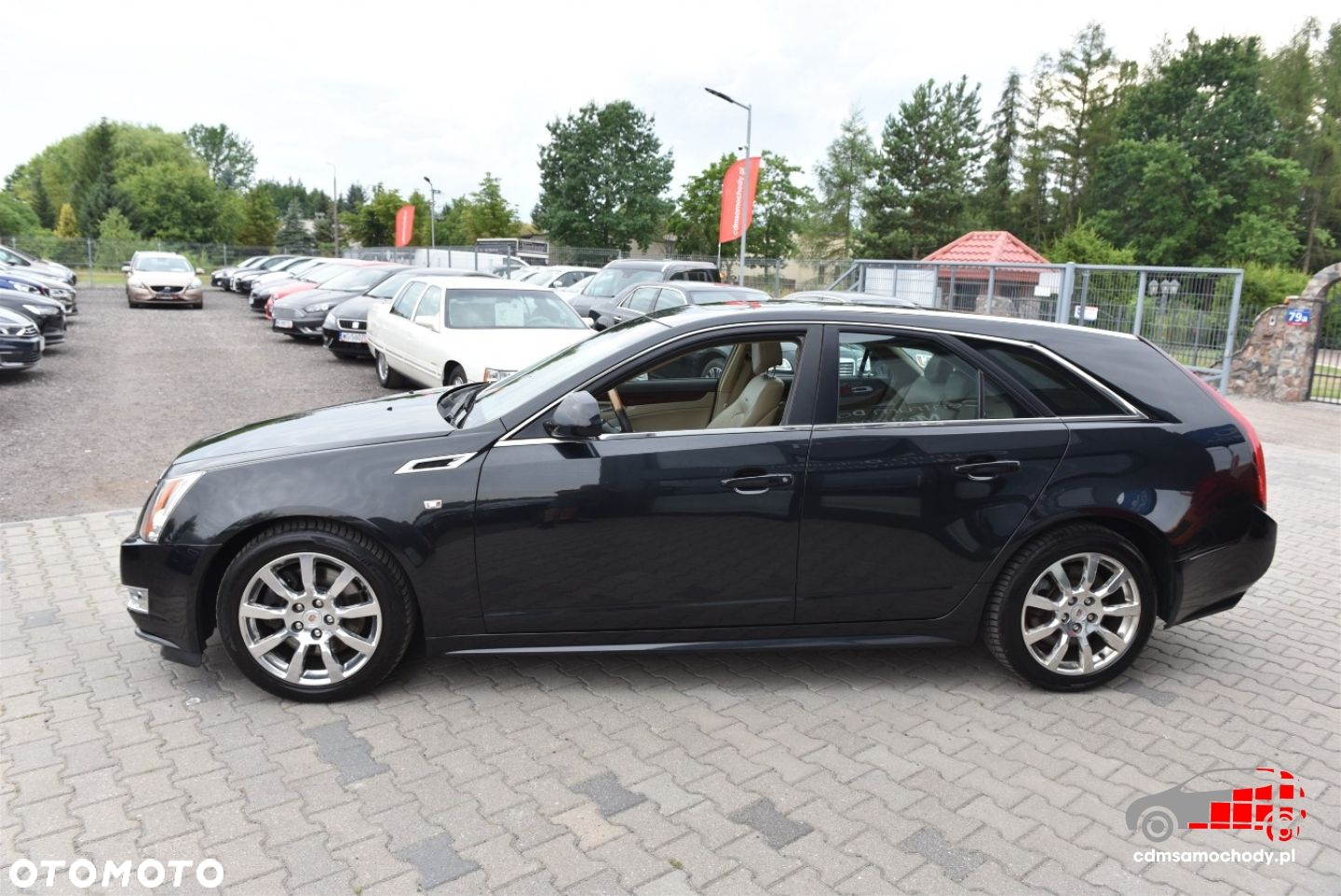 Cadillac CTS 3.6 V6 Automatik AWD Sport Luxury - 7