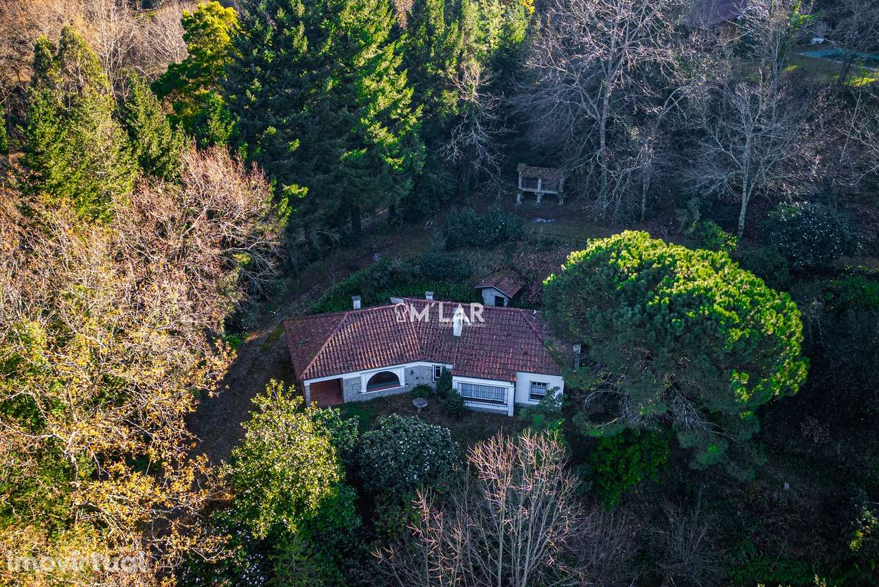 Quinta com 3200 m2 em Vieira do Minho – Gerês - Grande imagem: 4/60