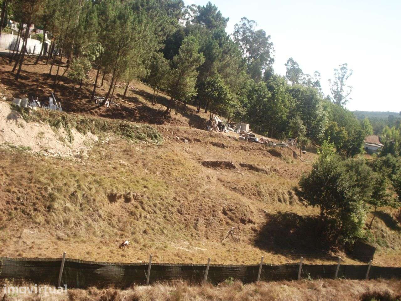 Terreno com 5800 m2 em Pigeiros, Santa Maria da Feira - Grande imagem: 2/16