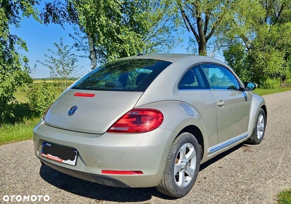 Volkswagen Beetle - 6