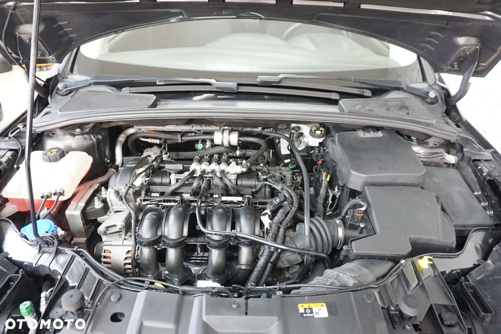 Ford Focus 1.6 FF Ambiente - 15