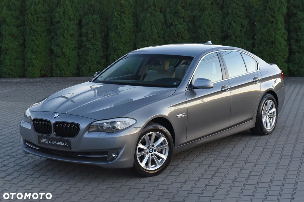 BMW Seria 5 520d - 18