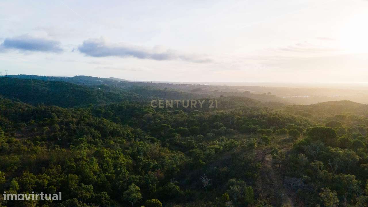 Terreno com vista mar Santa Cruz - Santiago do Cacém - Grande imagem: 2/8