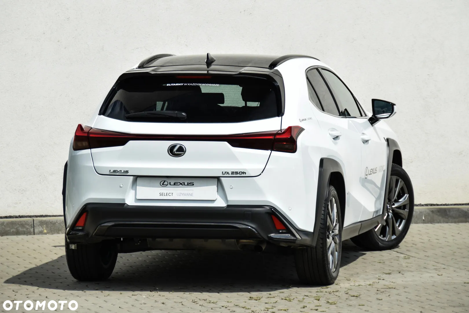 Lexus UX 250h GPF F Sport Design+ 2WD - 6