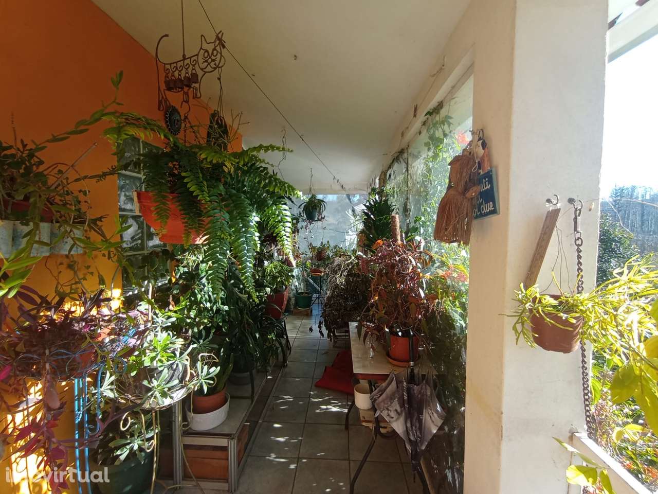 Quinta com moradia T3 - próximo de Aveiro. - Grande imagem: 5/42