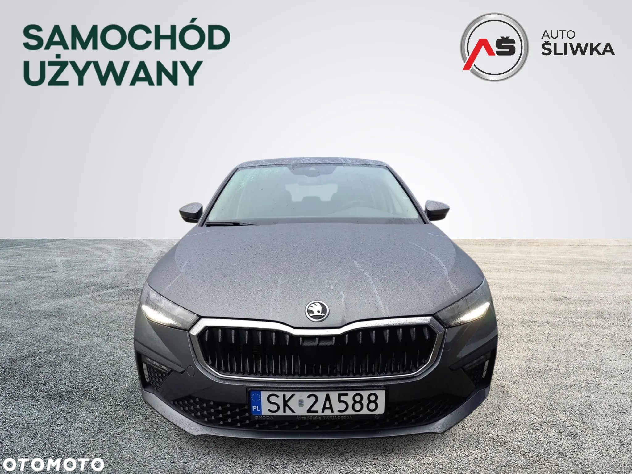 Skoda Scala - 2
