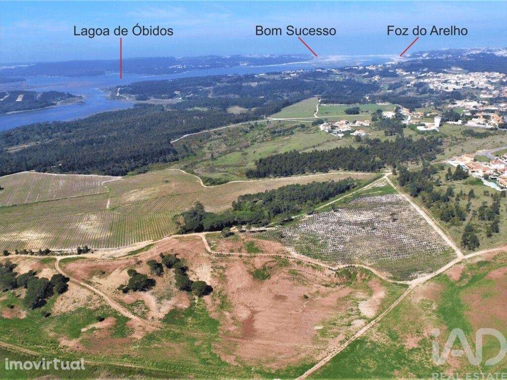 Terreno em Caldas da Rainha - Santo Onofre e Serra do Bouro - Grande imagem: 3/28