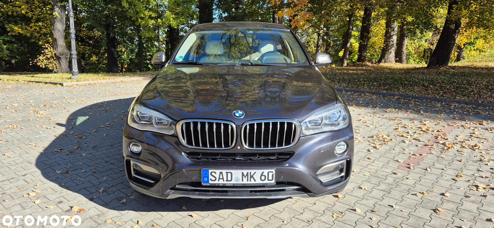 BMW X6 xDrive30d - 2