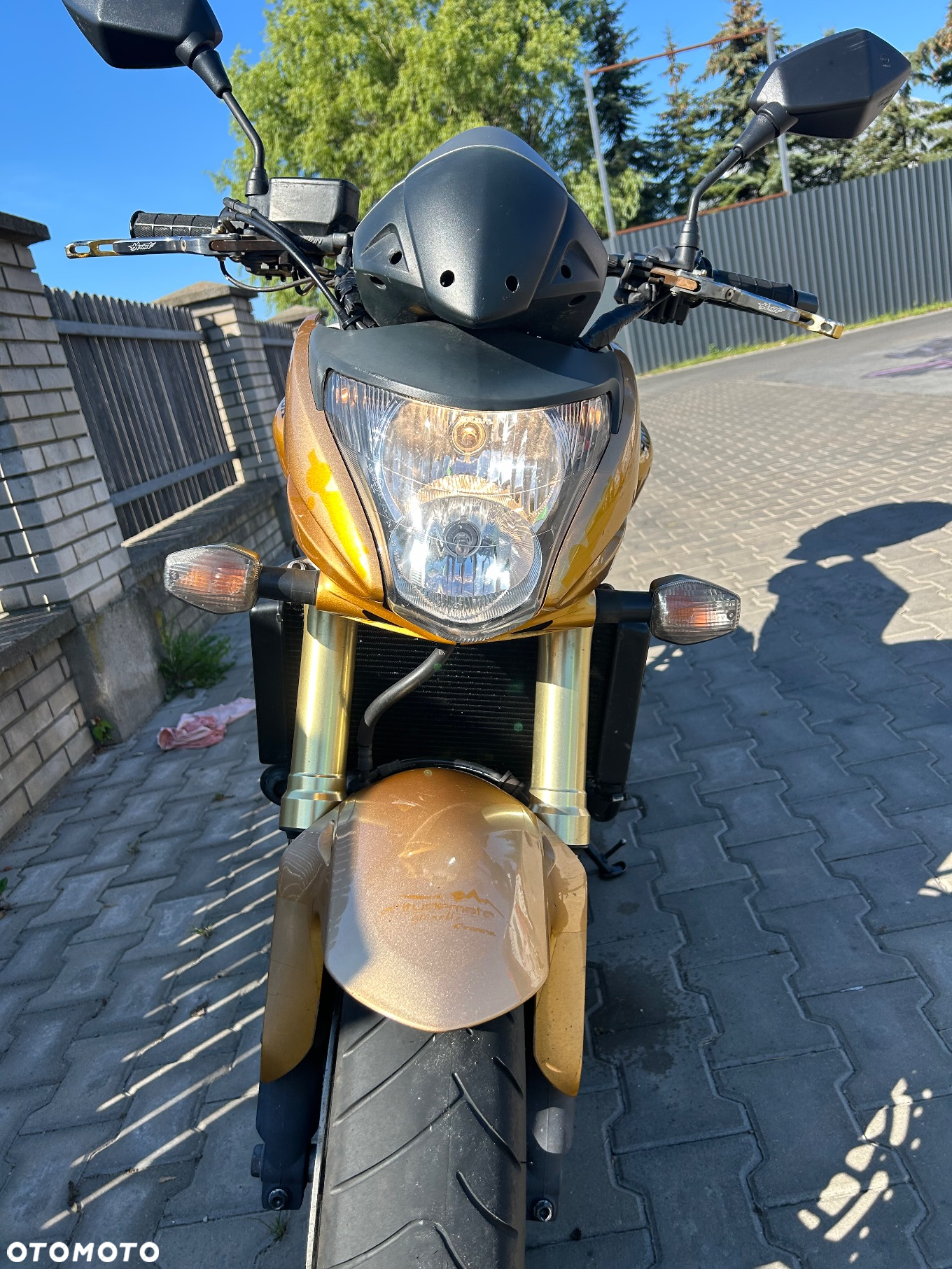 Honda Hornet - 9