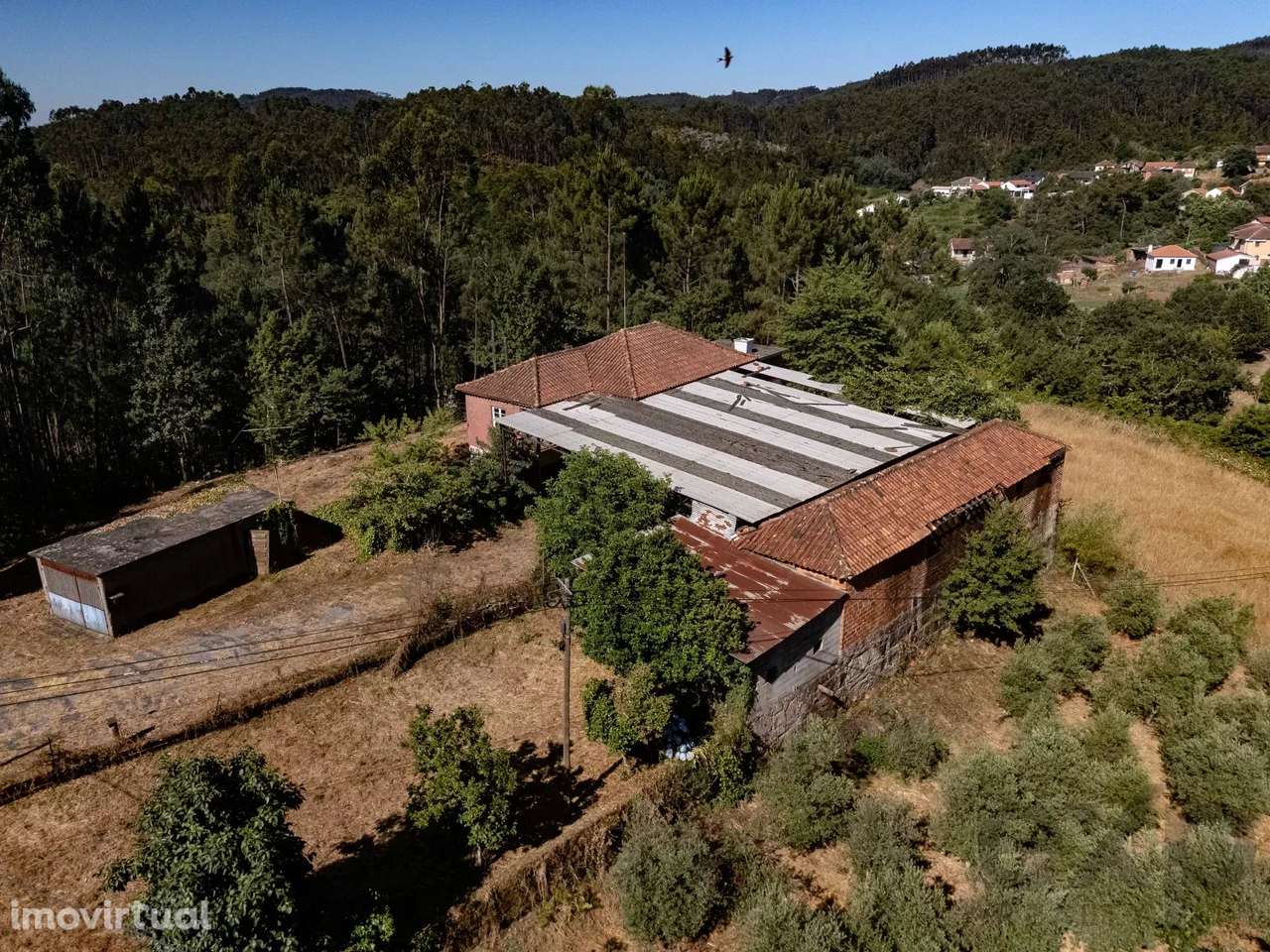 Oportunidade de Investimento | Moradia com potencial para Turismo Rura - Grande imagem: 5/34