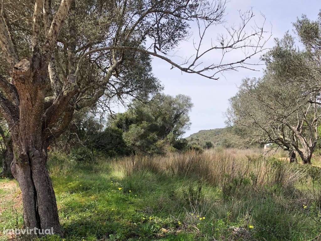 Lote de terreno rústico, Loulé, Algarve - Grande imagem: 5/11