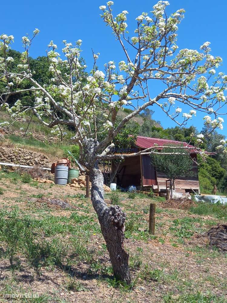 Quinta com 6305m2 Igreja Nova e Cheleiros, Mafra - Grande imagem: 4/6