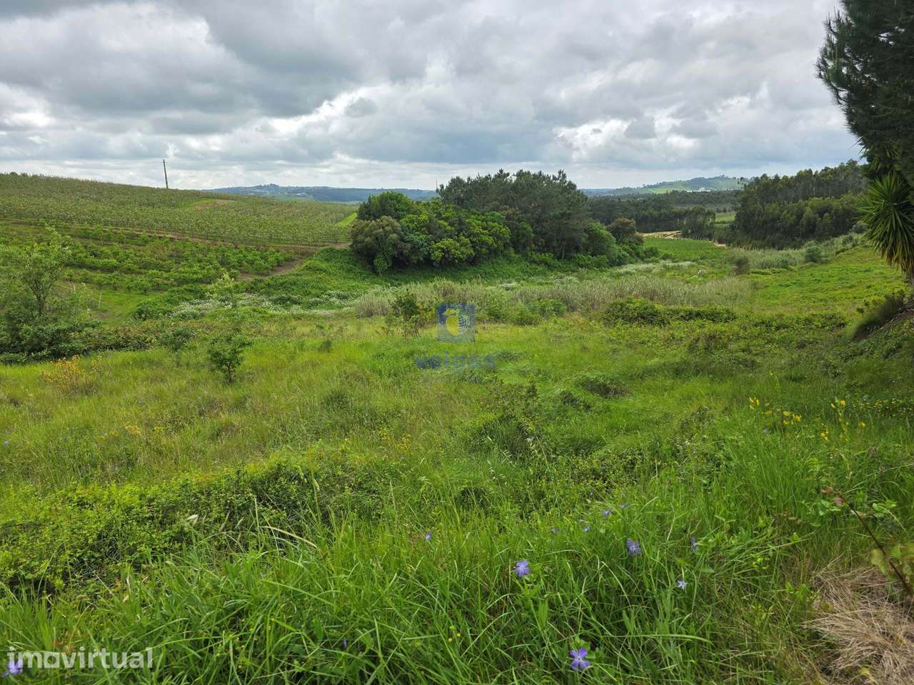 Terreno com 9.620m², sendo que cerca de 6.000m² encontram-se em Espaç - Grande imagem: 2/22