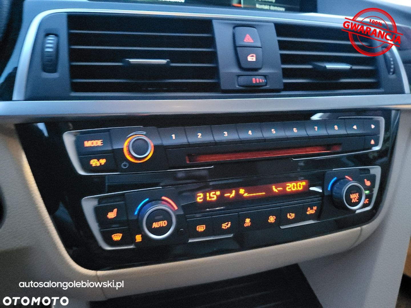 BMW Seria 3 - 29