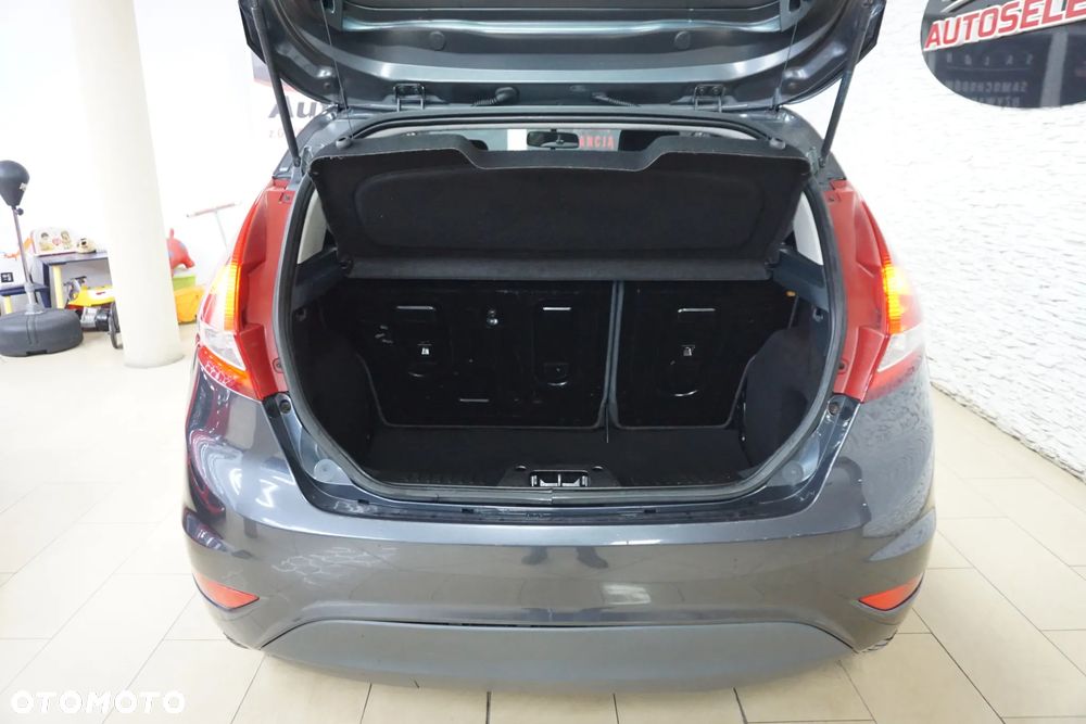 Ford Fiesta 1.25 Gold X - 15