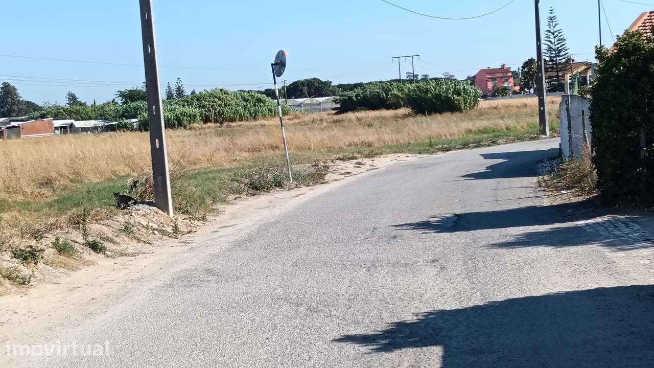 Terreno misto com 29.403 m2 ! Com zona urbana | Boa Localização - Grande imagem: 4/25