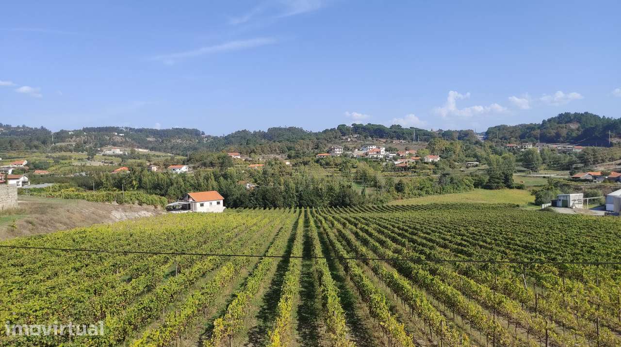Terreno Urbano  Venda em Telões,Amarante - Grande imagem: 2/8