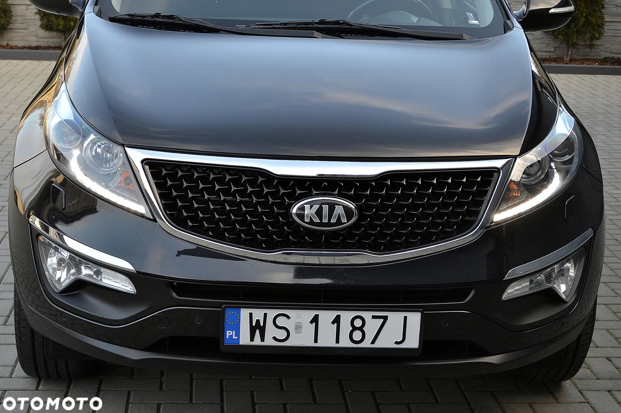 Kia Sportage - 2