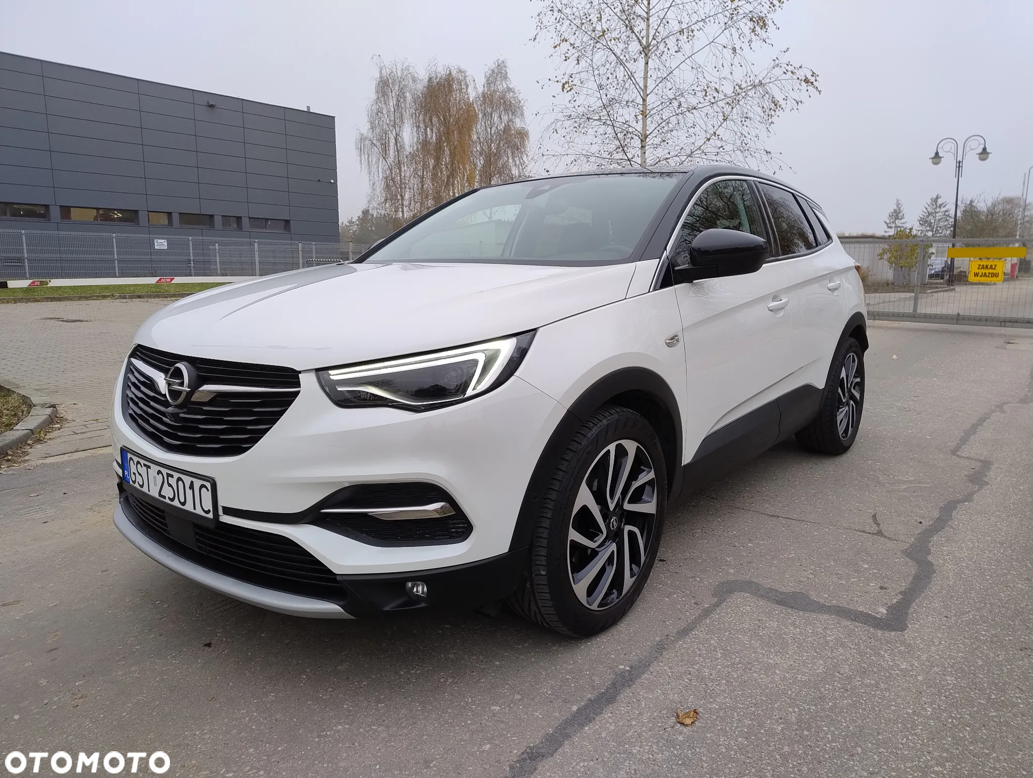 Opel Grandland X 1.6 CDTI Ultimate S&S - 8