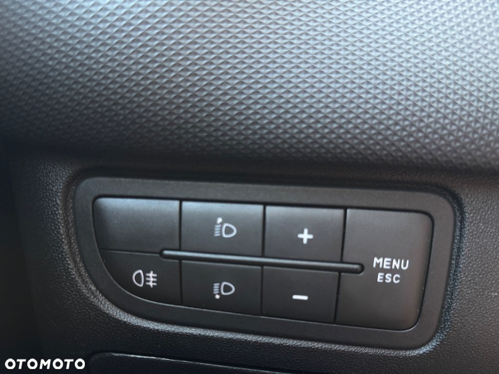 Fiat Punto - 18