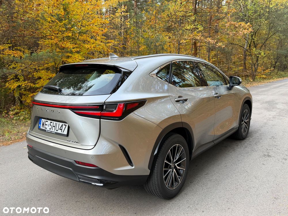 Lexus Nx 2025 photo 5