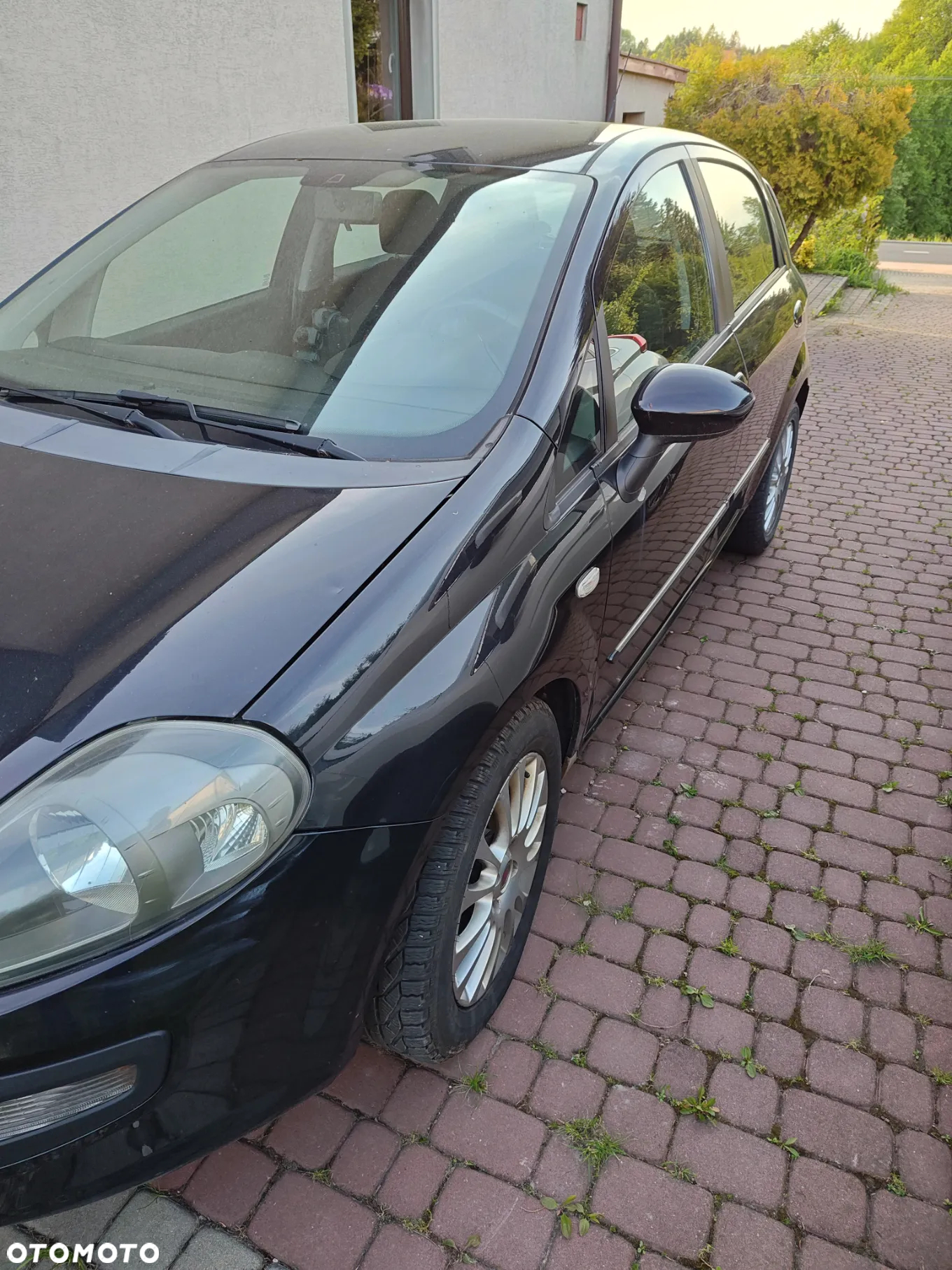Fiat Punto Evo 1.4 8V Estiva Blue&Me Euro5 - 12