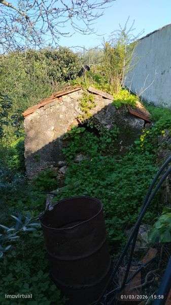 Terreno com casa para recuperar a poucos minutos da cidade de Silves - Grande imagem: 3/5