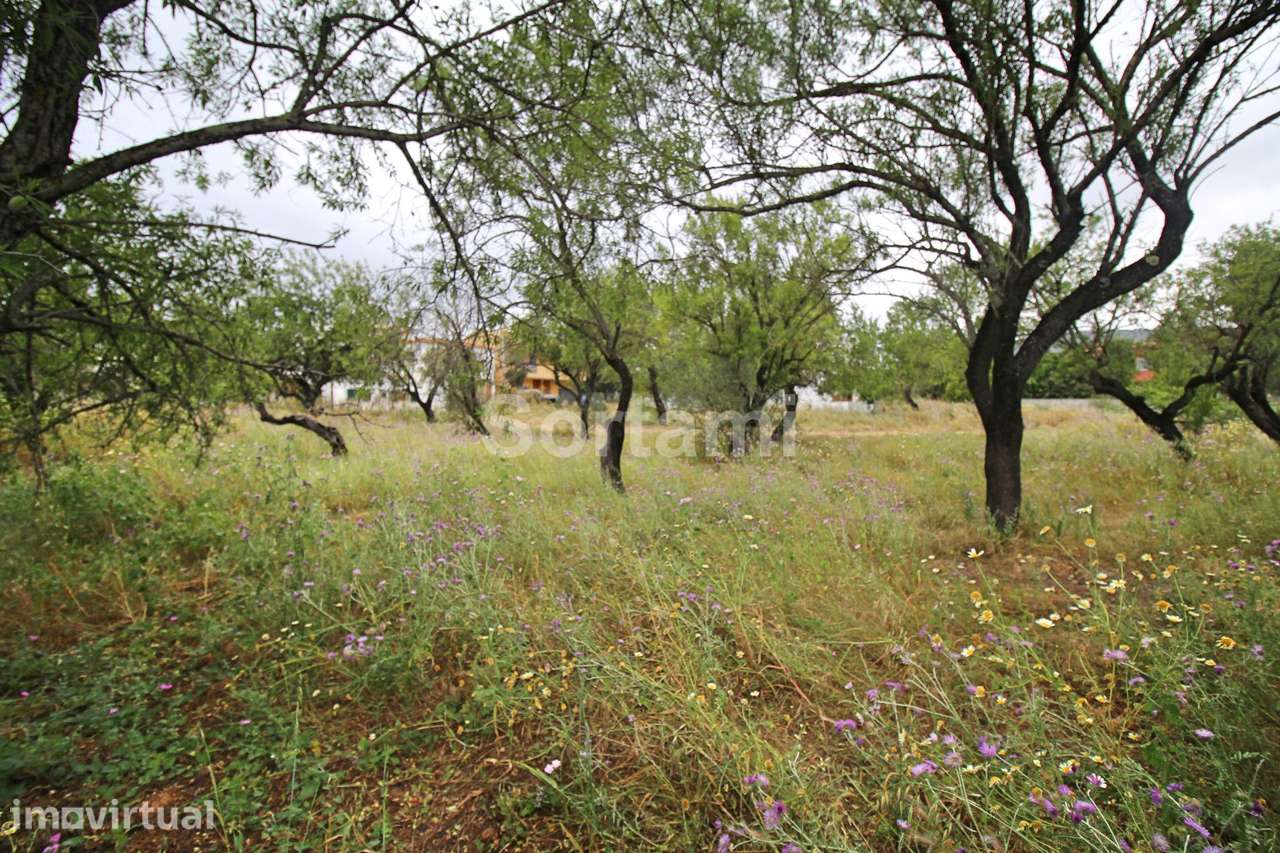 Terreno Para Construção  Venda em Conceição e Estoi,Faro - Grande imagem: 4/4