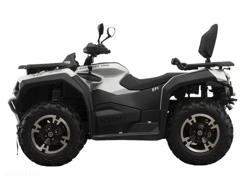 HISUN Guardian 750 - 24
