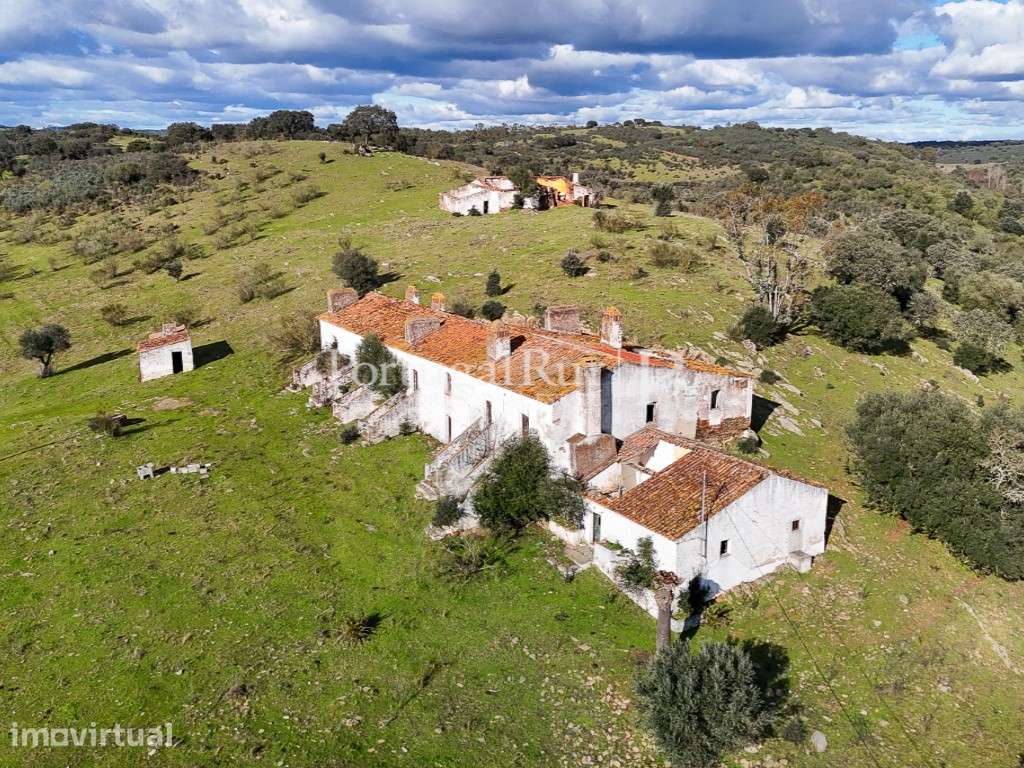 Quinta de 11 Hectares com aptidão para Hotel Rural - Grande imagem: 2/60