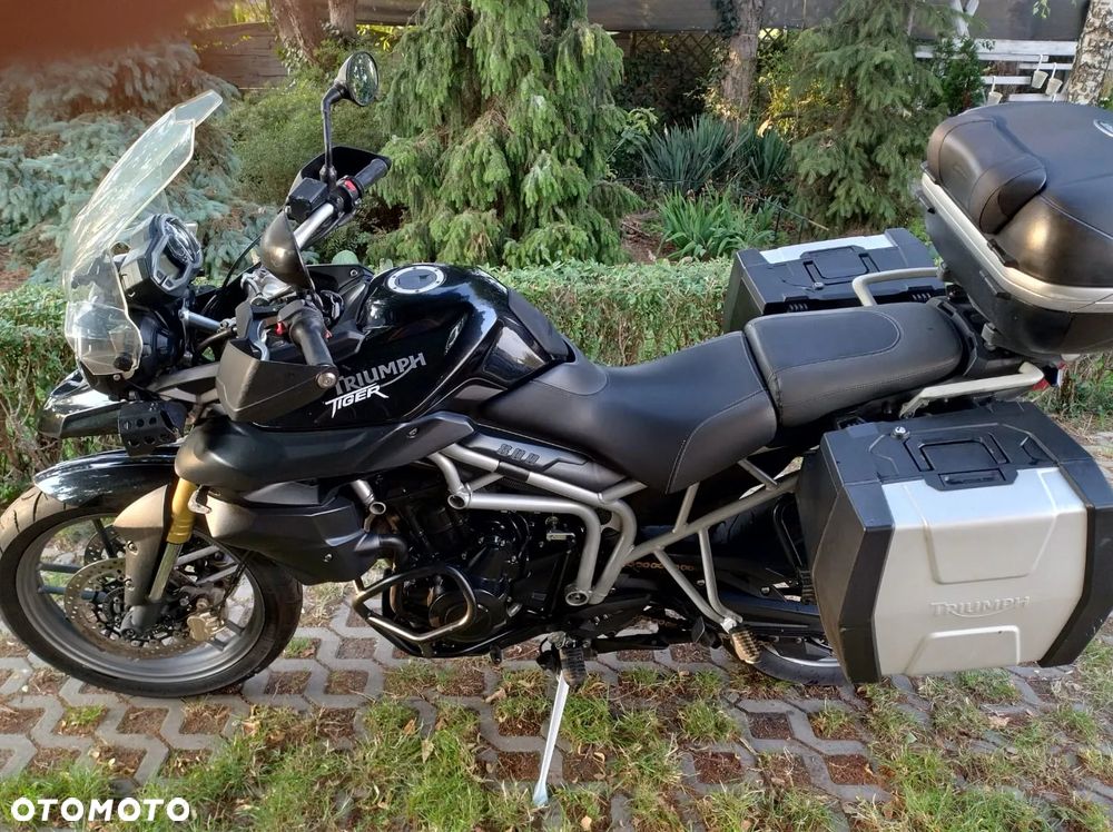 Triumph Tiger - 10